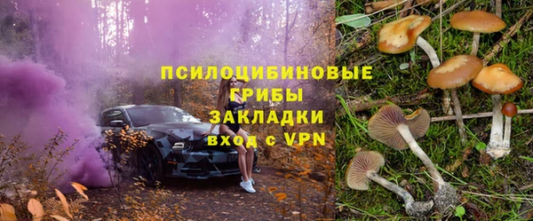 таблы Ладушкин