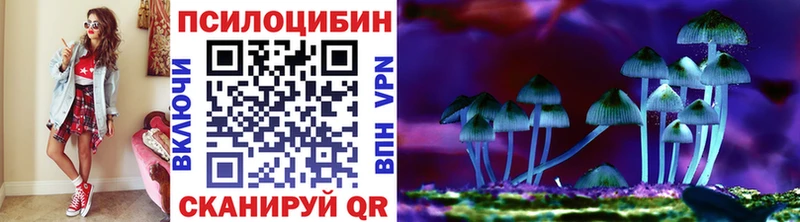 Псилоцибиновые грибы мицелий сколько стоит Кушва